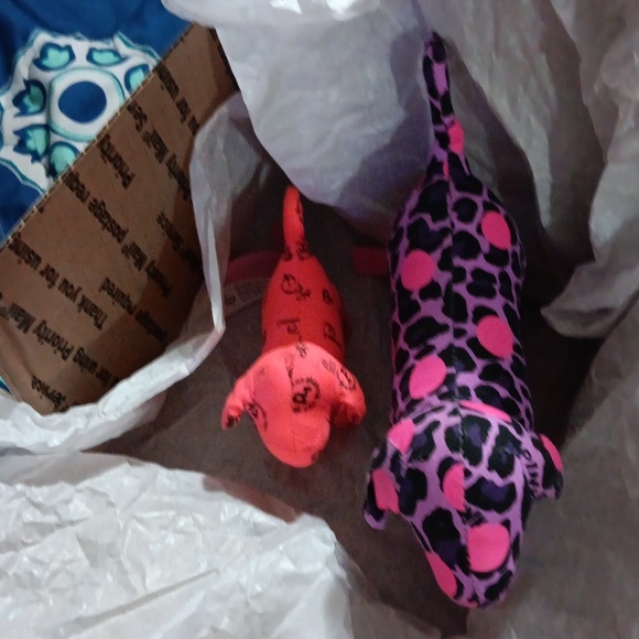 Set of 2 VS puppies 🐶! - Picture 5 of 6